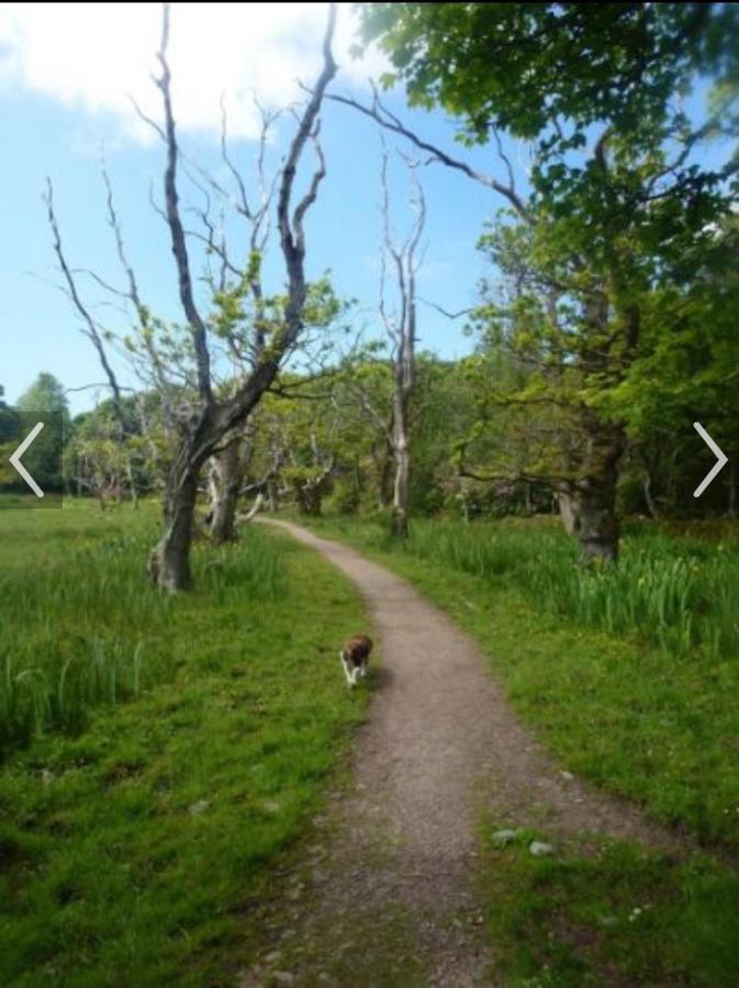 Happydays Caravan 1 Newton Stewart Whithorn المظهر الخارجي الصورة