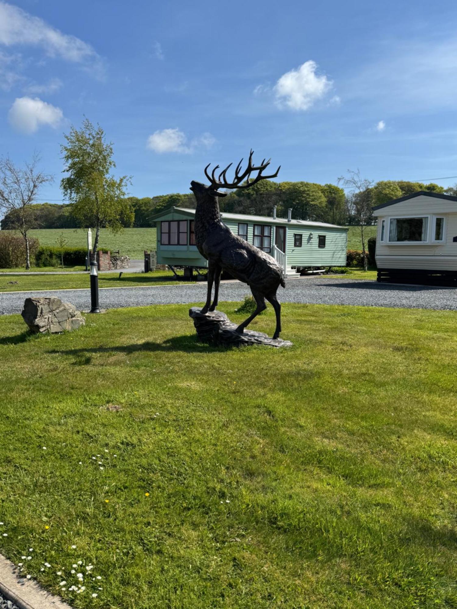 Happydays Caravan 1 Newton Stewart Whithorn المظهر الخارجي الصورة